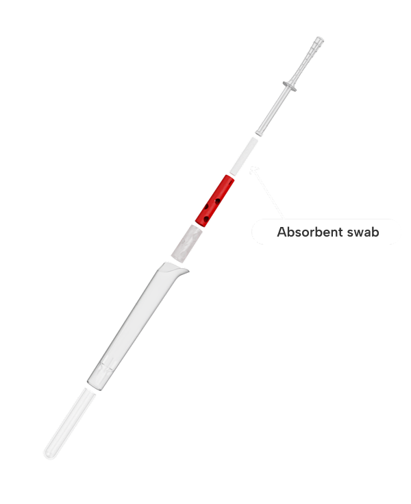 Absorbent swab